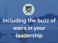 Including the buzz of weirs in your leadership