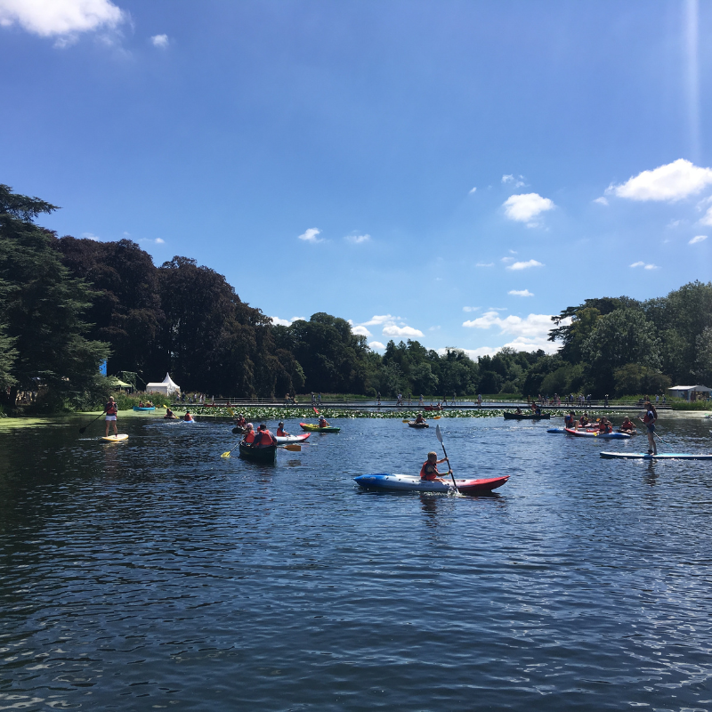 people paddling on a sunny day